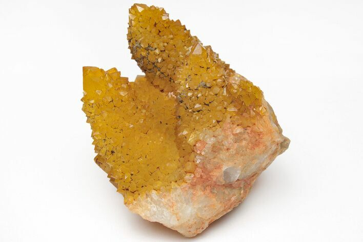 Sunshine Cactus Quartz Crystal Cluster - South Africa #212651
